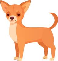 Small sized short coated dog breed with pointed ears and a curled tail, standing in a friendly and alert pose, exuding a playful and cheerful demeanor against a white background vector