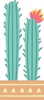 Two stylized cactuses, one of which has a pink and yellow flower, are growing in a decorated pot, bringing a touch of desert charm to any space vector