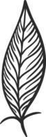 Hand drawn feather featuring thin, parallel lines creating a visually appealing striped pattern, ideal for nature inspired designs, illustrations, or artistic projects vector