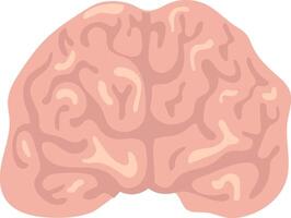 Realistic illustration showcasing a human brain, emphasizing the complex network of its two hemispheres, ideal for medical and educational use vector