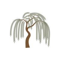 Peaceful Hanging Branch Willow Tree Illustration, Weeping Willow Tree Branches vector