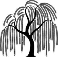 Elegant Weeping Willow Tree Silhouette with Flowing Branches and Natural Grace vector