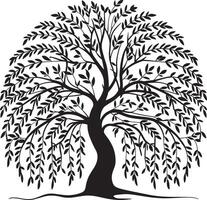 Elegant Weeping Willow Tree Silhouette with Flowing Branches, Willow Tree Logo vector