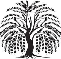 Elegant Weeping Willow Tree Silhouette with Flowing Branches vector