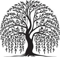 Elegant Willow Tree Design with Flowing Branches, Weeping Willow Tree Silhouette vector