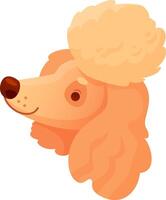 Cartoon illustration featuring a cute apricot poodle puppy with fluffy fur, gazing upwards with a curious and gentle expression, embodying playfulness and charm vector