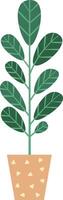 Decorative potted plant featuring large green leaves thriving in a beautifully designed pot, enhancing home decor and infusing indoor spaces with a refreshing touch of nature vector