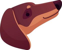 Close up illustration of a dachshund dog's head and neck, showcasing its distinctive long and low profile, with a gentle and inquisitive expression vector