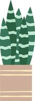 Simple illustration of a snake plant with long, pointed, green leaves with light green stripes, growing in a light brown pot with horizontal beige stripes vector