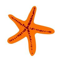 Bright orange starfish resting on a sandy surface by the shoreline during low tide vector