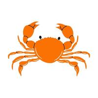 Bright orange crab with claws displayed against a white background vector