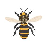 Colorful bee with detailed wings resting on a light background vector