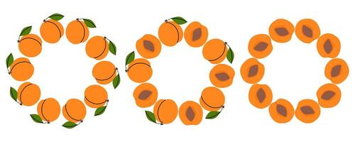 Circular arrangement of peach fruits with leaves on a white background vector