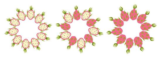 Creative circular pattern design featuring colorful dragon fruits arranged artistically vector