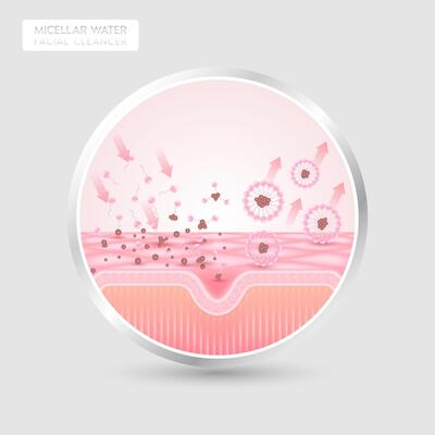 Product label for product face cleanser design. Remove makeup with micellar water. Sectional remove dirt on skin cell with surfactant. Cosmetics solution facial care pore cleaning. Isolated.