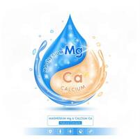 Calcium Ca and Magnesium Mg solution isolated on white background. Vitamins complex minerals supplements should take in pairs. vector