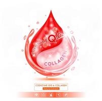 Red coenzyme Q10 and pink collagen solution isolated on white background. Vitamins complex minerals supplements should take in pairs. Helps keep skin moisturized and youthful. vector