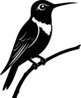 hummingbird perched on a branch silhouette, stylized bird resting on branch vector