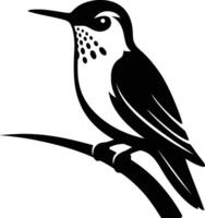 black and white hummingbird perched, bird on branch minimal vector