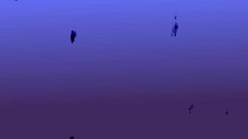 Blue violet background with moving streamlined shapes, abstract background video