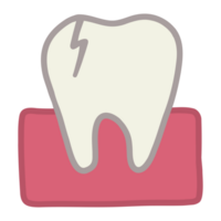 broken tooth with gum png
