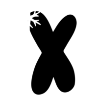X snowflake alphabet png