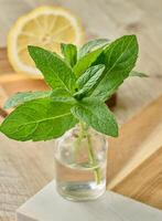 Fresh mint sprigs in a small glass bottle with water, placed on a wooden surface photo