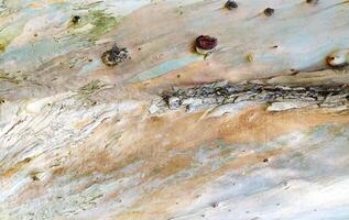 Striking abstract texture of tree bark, showcasing earthy tones and intricate patterns. Ideal for design projects needing natural, organic elements. Evokes feelings of nature, time, and resilience. photo