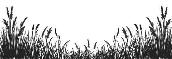 Black and white drawing of grass and reeds vector