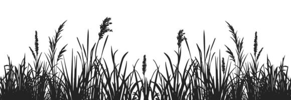 Black and white illustration of grass and reeds vector