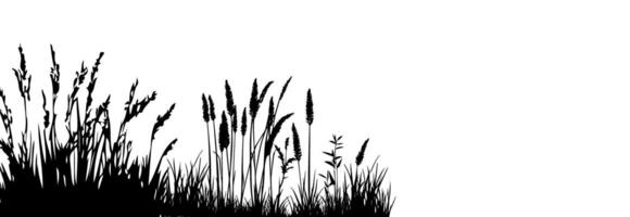 Silhouette of grass and weeds on a white background vector