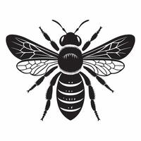 An illustration of a bee in black and white with a black face and a black and white background vector