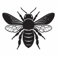 Graphic image of a bee silhouette isolated on a white backdrop vector