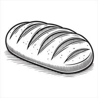 Graphic illustration in the form of a bread sketch. Imitation of an old hand-drawn engraving vector