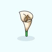 Calla Lilly flower illustration decoration Editable and scalable for print web and digital creative content vector