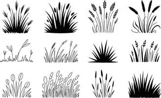 Collection of black and white grass silhouette illustrations for design and decorative elements vector
