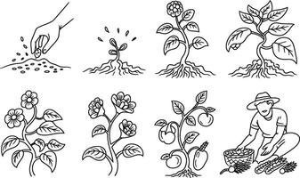 Illustration depicting the life cycle of plants from seed to harvest with farmer vector