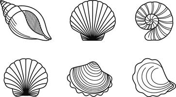 Collection of hand drawn sea shells outlined in black on white background for design vector