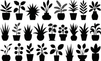 Collection of black silhouette potted plants for design and decorative arrangements vector