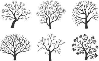 Set of six different tree silhouettes depicting various branch and foliage styles vector