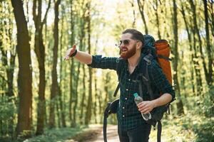 In glasses, and with backpack. Bearded man is in the forest at daytime photo