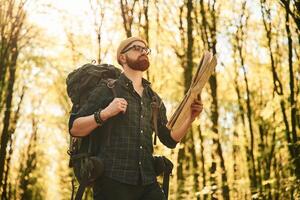 Big paper ,map. .Bearded man is in the forest at daytime photo