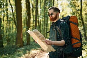 Using the map. Bearded man is in the ,forest at daytime photo