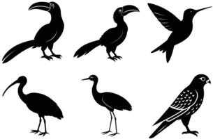 This image features a set of simple, black silhouettes of various birds, including a hornbill, hummingbird, ibis, heron, and a hawk. vector