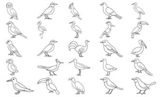 A collection of various bird species depicted in simple, black outline drawings against a white background. vector