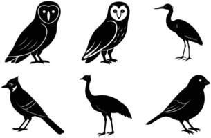 This image showcases a collection of bird silhouettes in a clean, simple design. vector