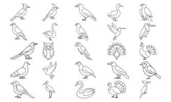 This image features a variety of birds, including various species like cardinals, ducks, owls, peacocks, and more, depicted in simple, elegant line drawings. vector