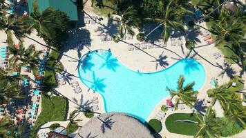 Top view of tropical Resort Pool with Palm Trees - Impressive Punta Cana video