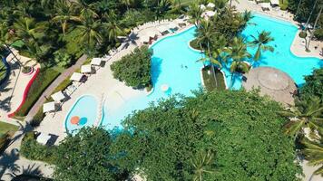 Tropical Resort Pool with Palm Trees - Aerial View in Impressive Punta Cana video