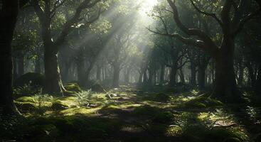 Dreamy Natural Scene with Clarity from Foreground to Background photo